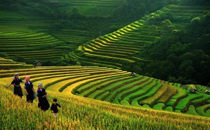 Журнал Wanderlust: Вьетнам является одним из лучших туристических направлений 2015 года  - ảnh 1